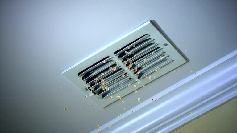 Ductwork Cleaning Services in Aldine, TX